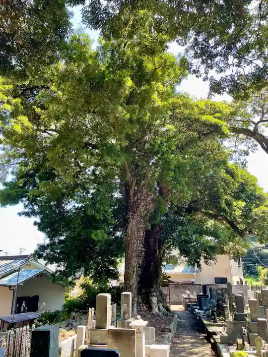 真福寺(神奈川県)