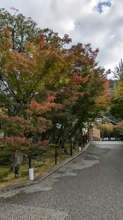 禅林寺(永観堂)(京都府)