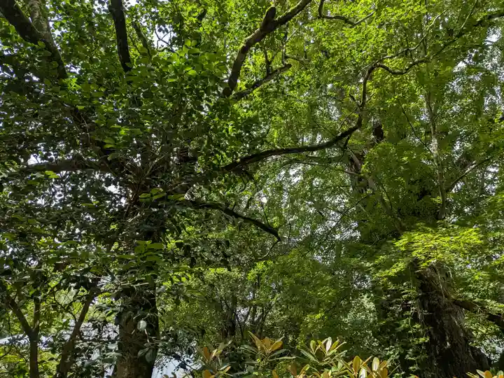 佛山寺(大分県)