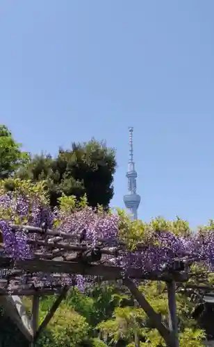 亀戸天神社の庭園