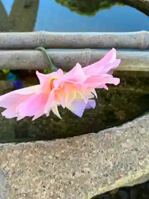 水堂須佐男神社(兵庫県)