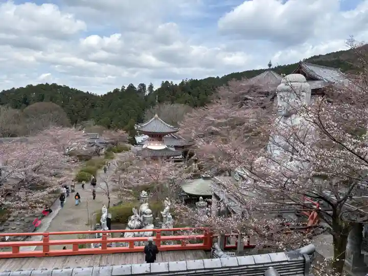 南法華寺(壷阪寺)(奈良県)