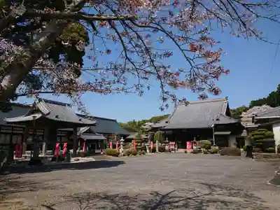 渭信寺の本殿・本堂