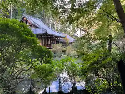 岩船寺(京都府)