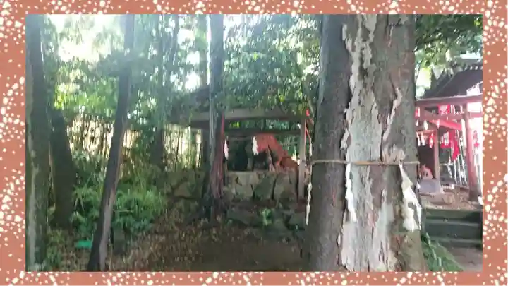 馬場氷川神社(埼玉県)