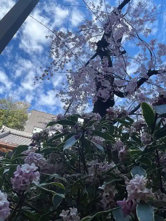 日蓮宗瑞光山久遠寺(愛知県)