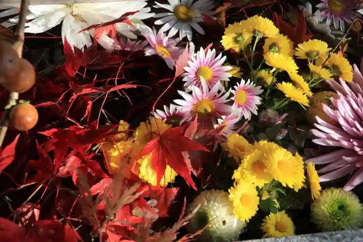 豊景神社の手水舎