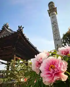 真言宗 善通寺派 薬王寺のその他建物(2022年04月10日(日) 22時34分57秒投稿)