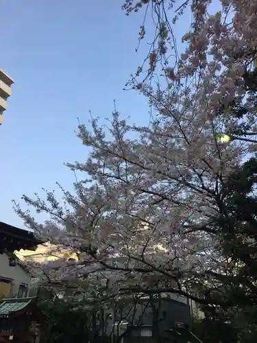 秋葉神社の自然