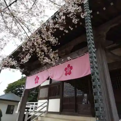 清瀧院の本殿・本堂