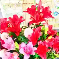 彌彦神社 (伊夜日子神社)の手水舎