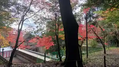 出雲大神宮(京都府)