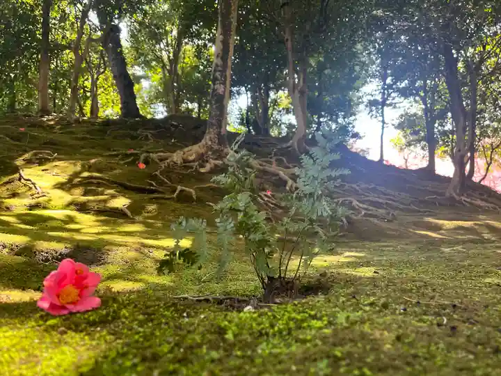 城南宮(京都府)