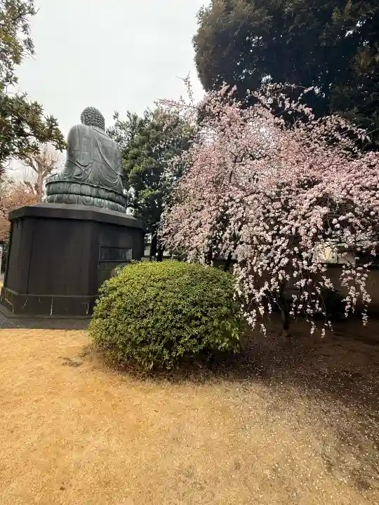 天王寺の{uncategorized: "未分類", other: "その他", undefined: "問題あり", building: "その他建物", grave: "お墓", sacred_gate: "鳥居", guardian: "狛犬", statue: "像", buddha: "仏像", history: "歴史", nature: "自然", garden: "庭園", animal: "動物", pagoda: "塔", temizu: "手水舎", mountain_gate: "山門・神門", sanctuary: "本殿・本堂", subordinate: "末社・摂社", art: "芸術", scenery: "景色", jizo: "地蔵", ema: "絵馬", goshuin: "御朱印", omikuji: "おみくじ", items: "授与品その他", amulet: "お守り", goshuincho: "御朱印帳", eats: "食事", festival: "お祭り", votive_dance: "神楽", shichigosan: "七五三参", wedding: "結婚式", experience: "体験その他", initially: "初詣", around: "周辺", anti_infection: "感染症対策"}