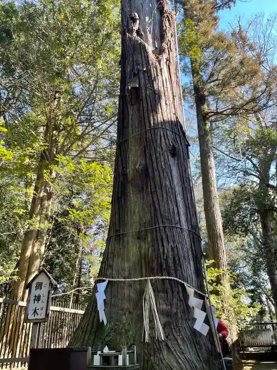 一言主神社の自然