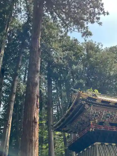 日光山輪王寺 大猷院(栃木県)