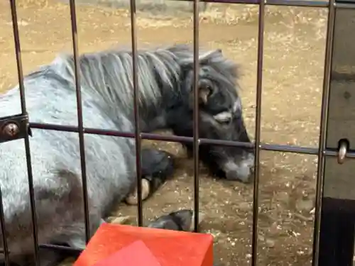 神田神社（神田明神）の{uncategorized: "未分類", other: "その他", undefined: "問題あり", building: "その他建物", grave: "お墓", sacred_gate: "鳥居", guardian: "狛犬", statue: "像", buddha: "仏像", history: "歴史", nature: "自然", garden: "庭園", animal: "動物", pagoda: "塔", temizu: "手水舎", mountain_gate: "山門・神門", sanctuary: "本殿・本堂", subordinate: "末社・摂社", art: "芸術", scenery: "景色", jizo: "地蔵", ema: "絵馬", goshuin: "御朱印", omikuji: "おみくじ", items: "授与品その他", amulet: "お守り", goshuincho: "御朱印帳", eats: "食事", festival: "お祭り", votive_dance: "神楽", shichigosan: "七五三参", wedding: "結婚式", experience: "体験その他", initially: "初詣", around: "周辺", anti_infection: "感染症対策"}