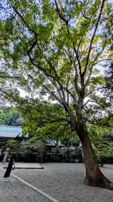 安房神社(千葉県)