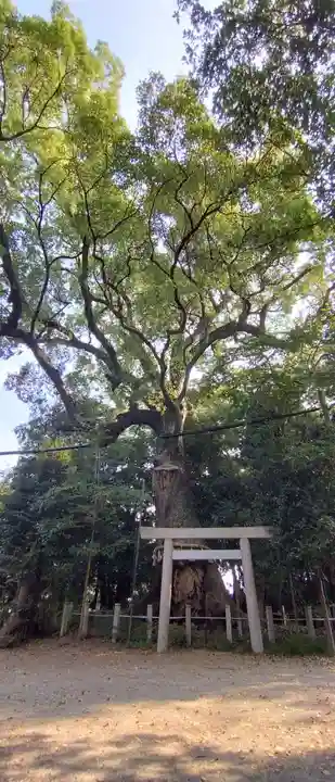 松阪神社(三重県)