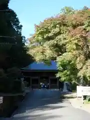 普門寺(切り絵御朱印発祥の寺)(愛知県)