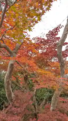 鍬山神社(京都府)