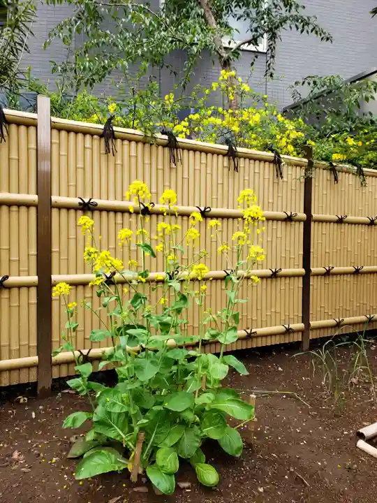 高円寺氷川神社の庭園