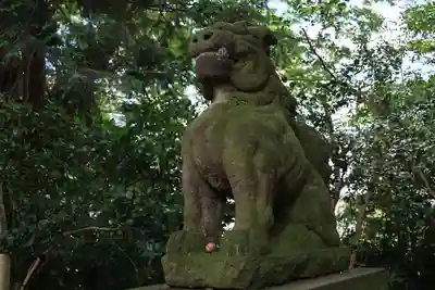 愛宕神社の狛犬