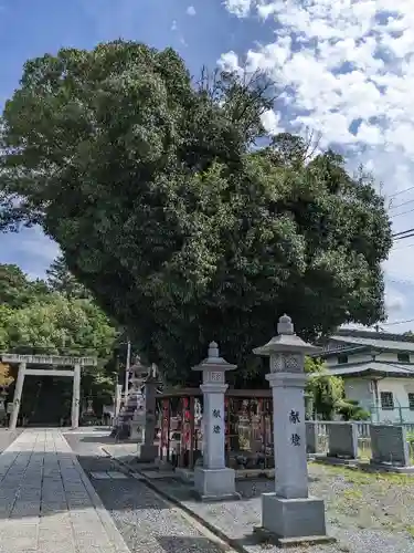 白山神社（二子町）の自然