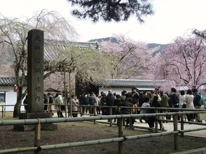 醍醐寺(京都府)