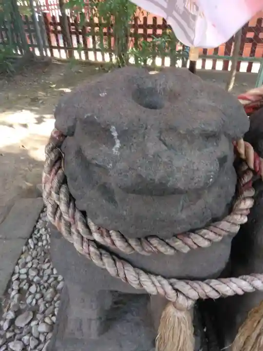 浅草神社の狛犬