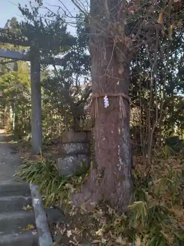 藤田神社(宮城県)
