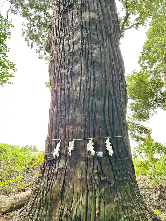 日吉神社(千葉県)