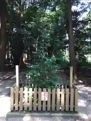 能褒野神社(三重県)