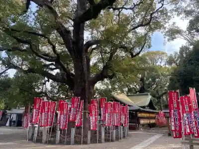 住吉大社(大阪府)