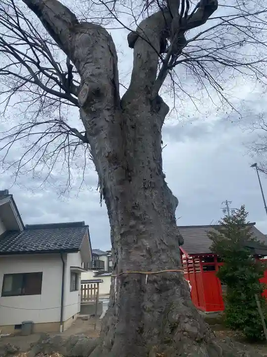 科野大宮社(長野県)