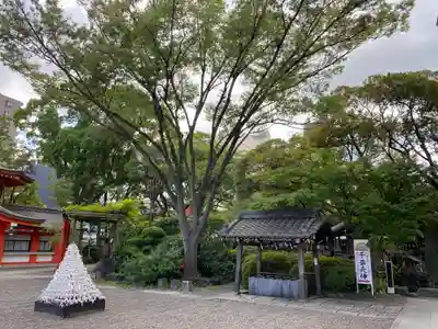 千葉神社(千葉県)
