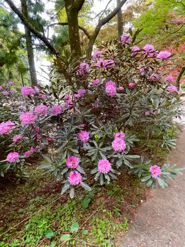 西照神社(徳島県)