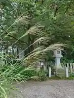 沙沙貴神社の自然