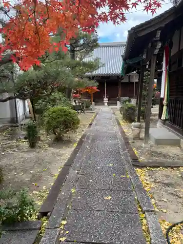 佐井寺(大阪府)