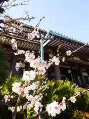 浄土宗南命山善光寺(東京都)