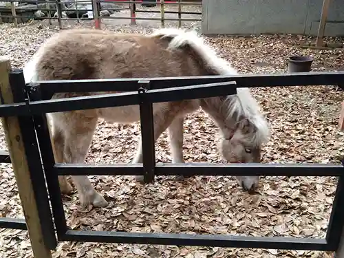 平塚八幡宮(神奈川県)