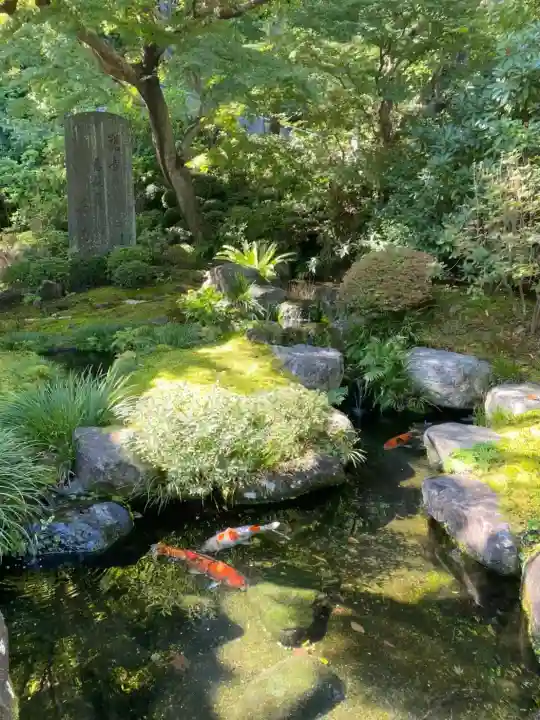長谷寺(神奈川県)
