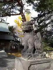 江別神社の狛犬