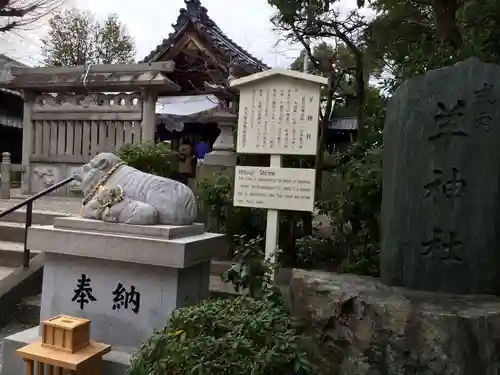 羊神社の狛犬