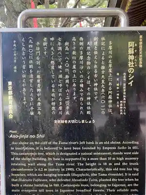 阿蘇神社(東京都)