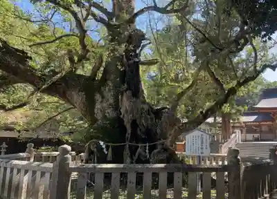 大山祇神社(愛媛県)