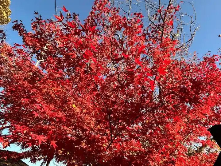 宝来山神社(和歌山県)