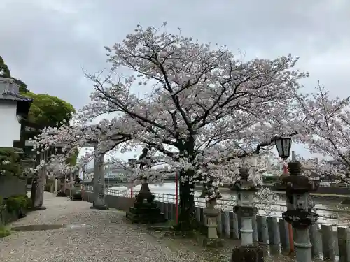 伊萬里神社の{uncategorized: "未分類", other: "その他", undefined: "問題あり", building: "その他建物", grave: "お墓", sacred_gate: "鳥居", guardian: "狛犬", statue: "像", buddha: "仏像", history: "歴史", nature: "自然", garden: "庭園", animal: "動物", pagoda: "塔", temizu: "手水舎", mountain_gate: "山門・神門", sanctuary: "本殿・本堂", subordinate: "末社・摂社", art: "芸術", scenery: "景色", jizo: "地蔵", ema: "絵馬", goshuin: "御朱印", omikuji: "おみくじ", items: "授与品その他", amulet: "お守り", goshuincho: "御朱印帳", eats: "食事", festival: "お祭り", votive_dance: "神楽", shichigosan: "七五三参", wedding: "結婚式", experience: "体験その他", initially: "初詣", around: "周辺", anti_infection: "感染症対策"}