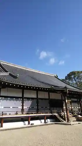 仁和寺の本殿・本堂