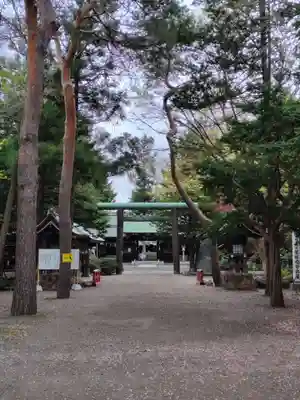 琴似神社(北海道)